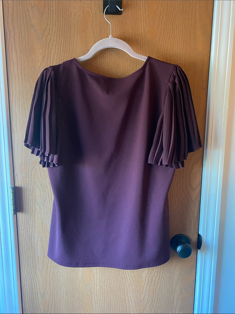 Ann Taylor Plum V-Neck Pleated Short Sleeve Blouse - Picture 4 of 4